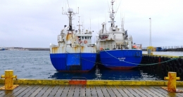 Berthed blue boats