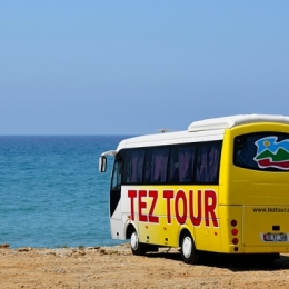 Bus