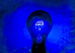 Bulb