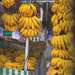 Banana