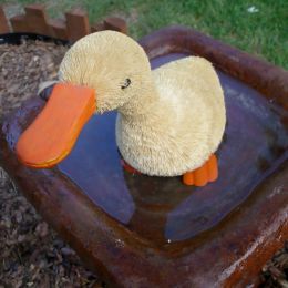 DuckBath