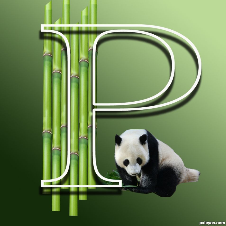 Creation of Letter P for a Happy Panda: Step 1