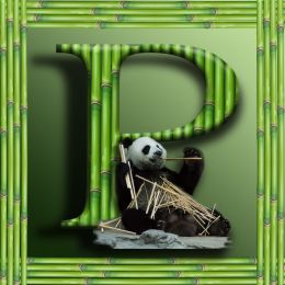 Letter P for a Happy Panda