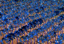 Pinwheels