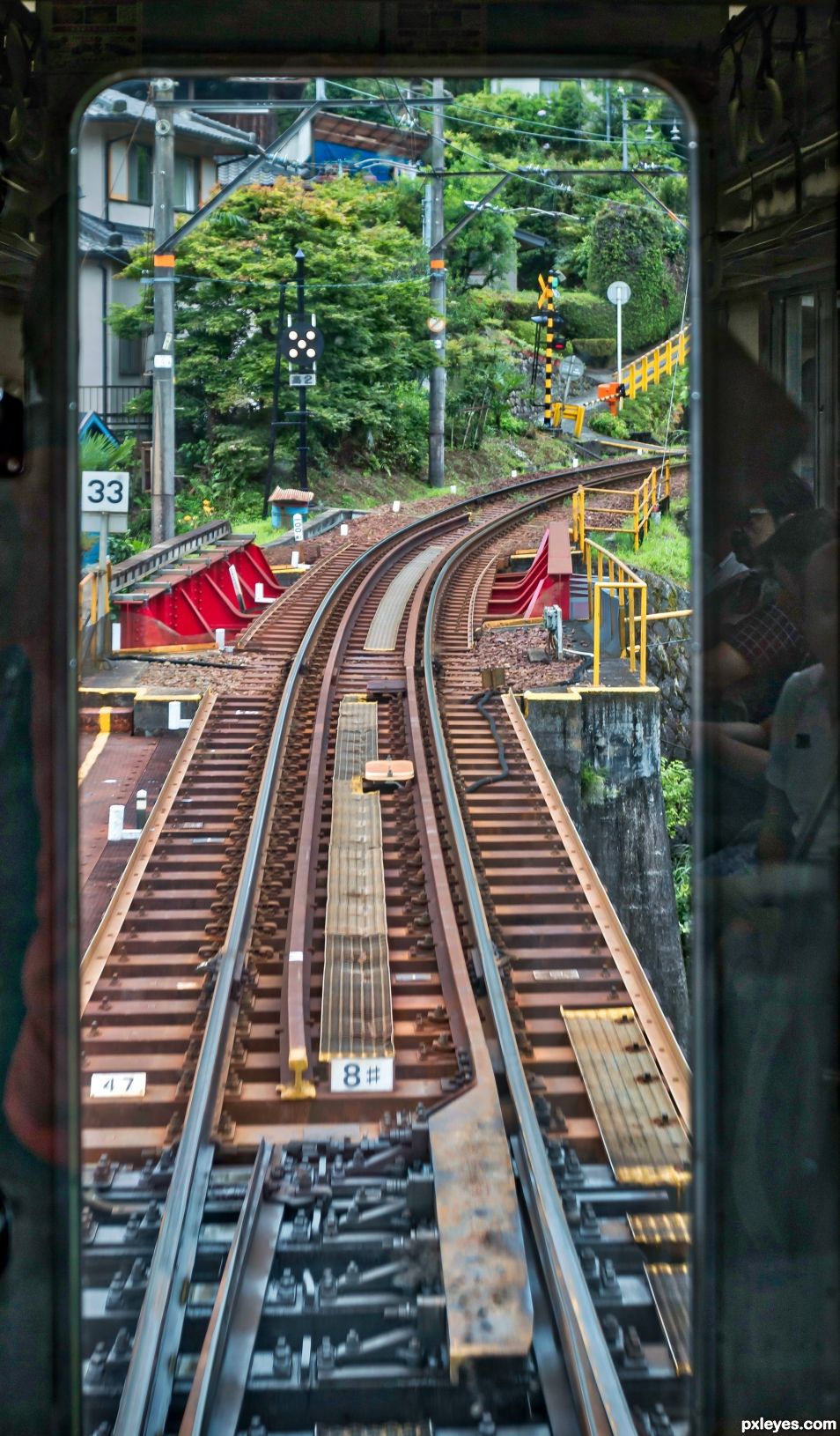 tracks from the train