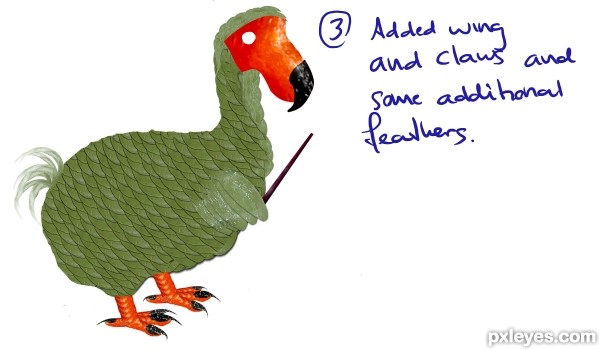 Creation of Dodo flight academy: Step 3