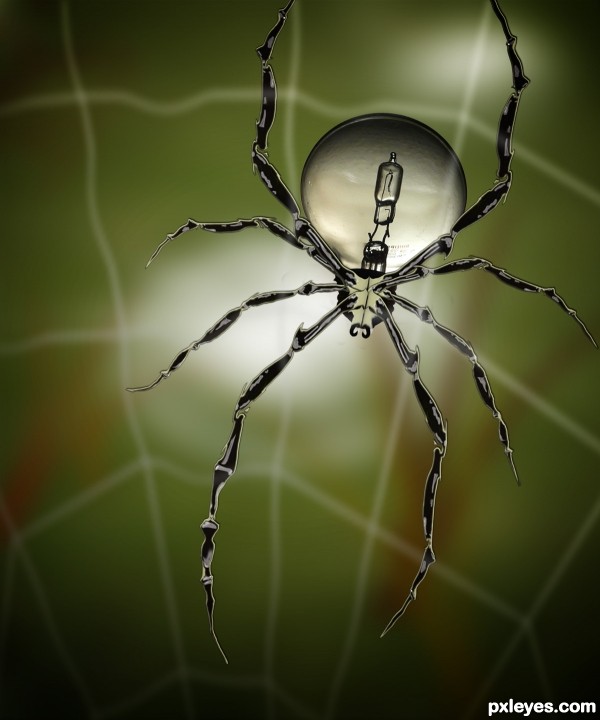 light   spider