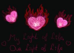 Light of Life Picture