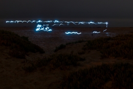 Beings on the Beach