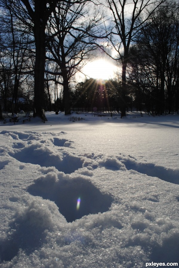 Winter Rays