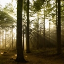 light rays 2 photography contest