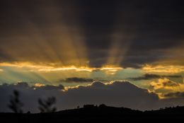 Morning sun beams