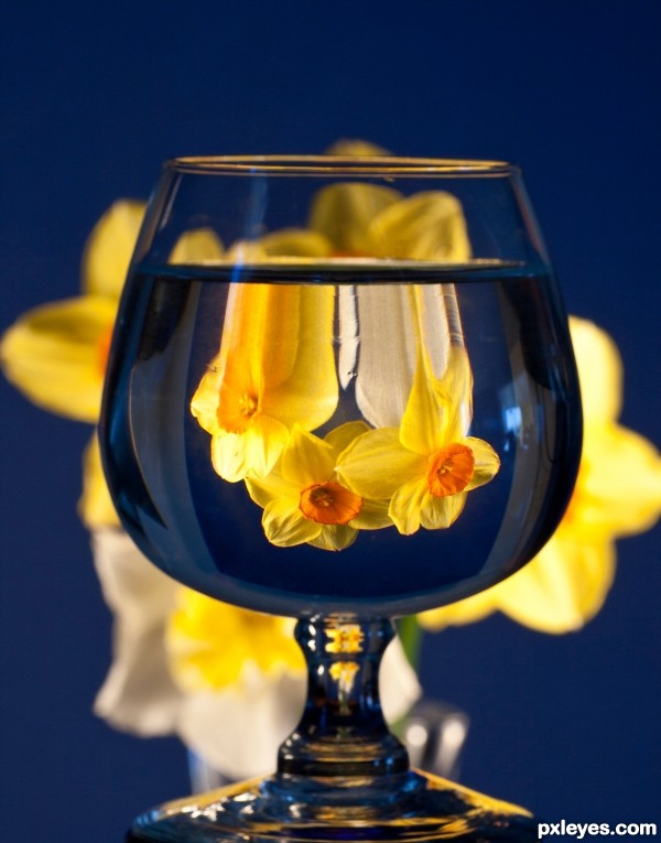springtime in a glass photoshop picture