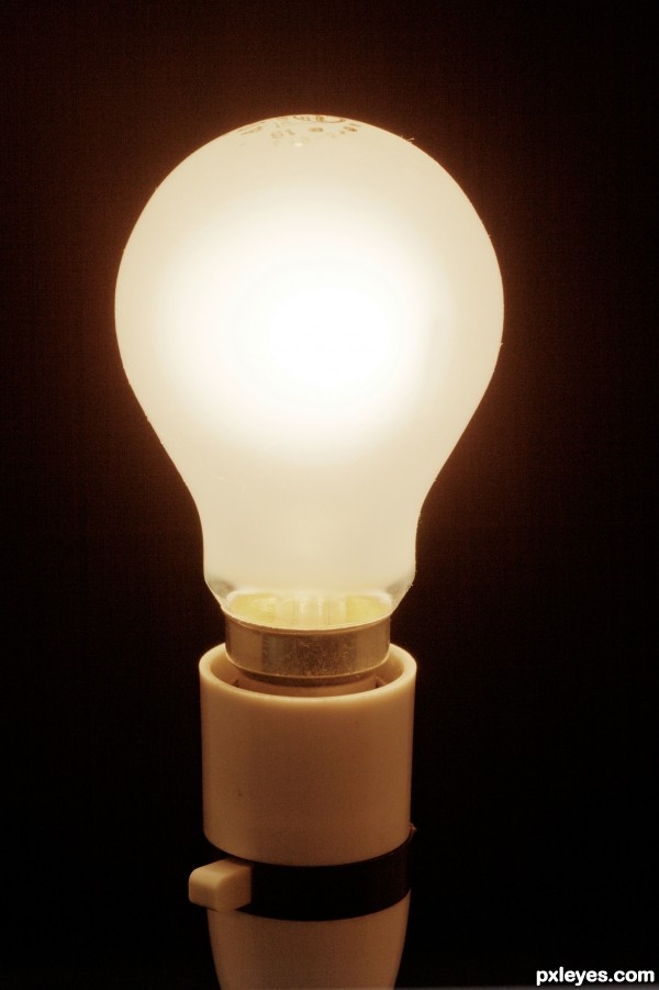 A plain bulb