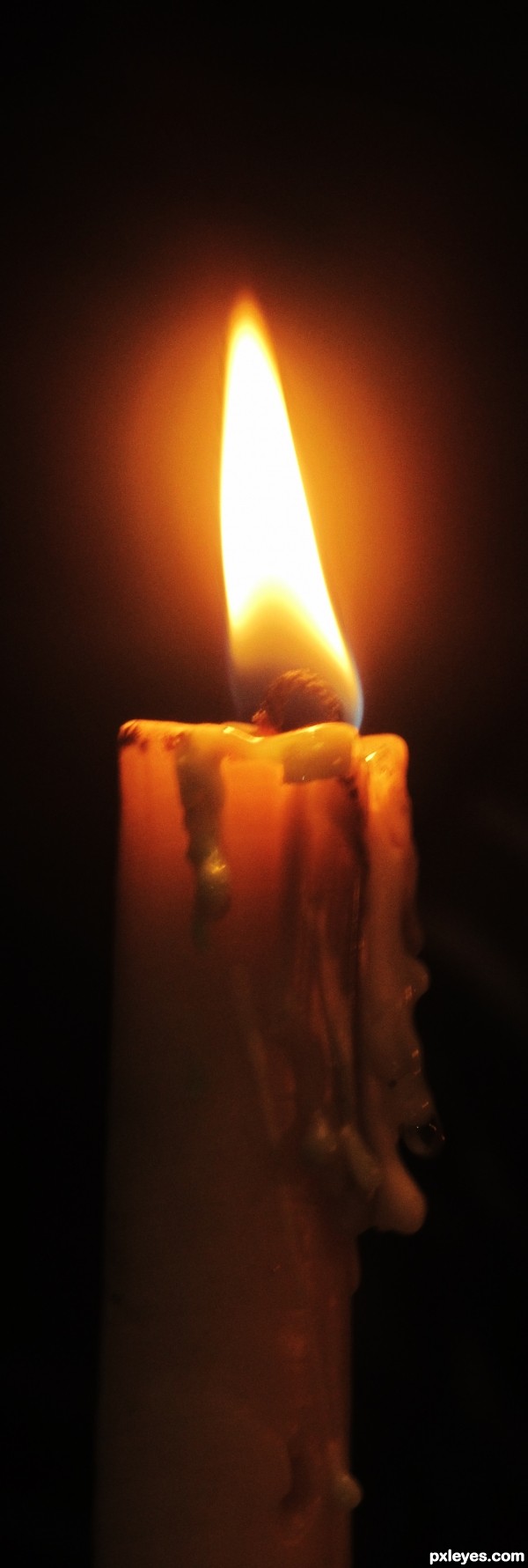 candle light 