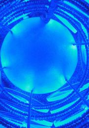 All Blue