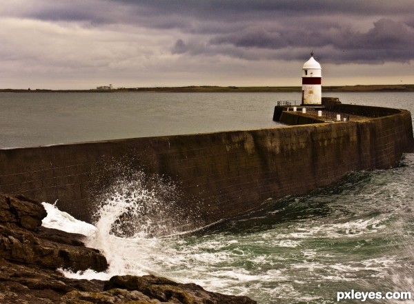 Harbour Watch