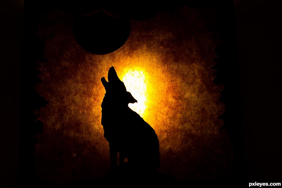 Howling at the Moon