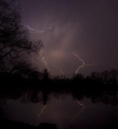 Morning bolts Picture