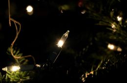 Christmas Lights