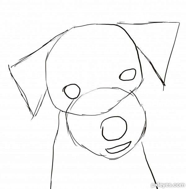 Creation of Dog's Sketch: Step 1