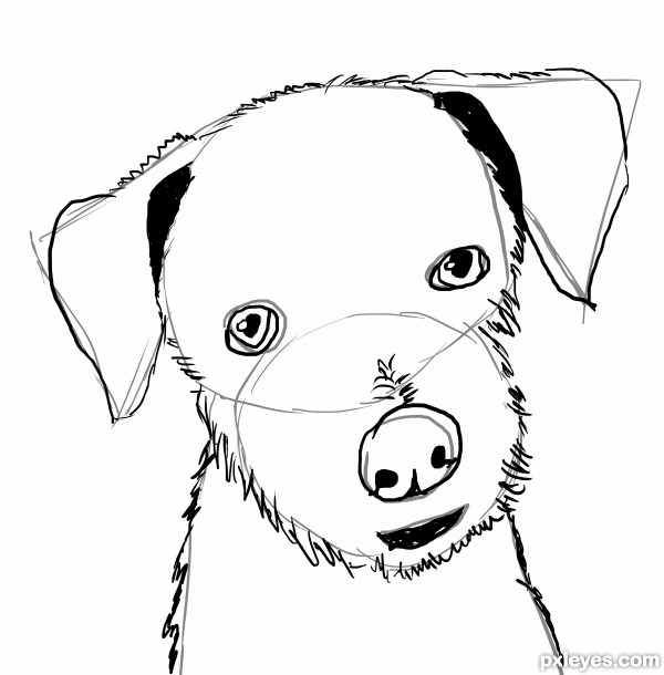 Creation of Dog's Sketch: Step 2