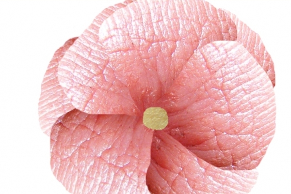 Creation of Flower: Step 4