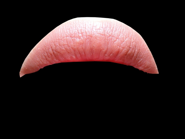Creation of Snail: Step 1