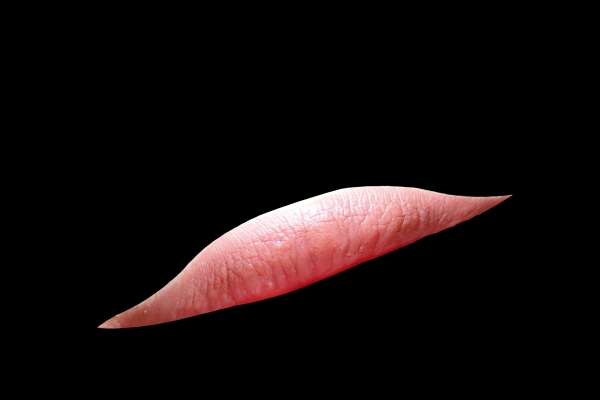 Creation of Snail: Step 3