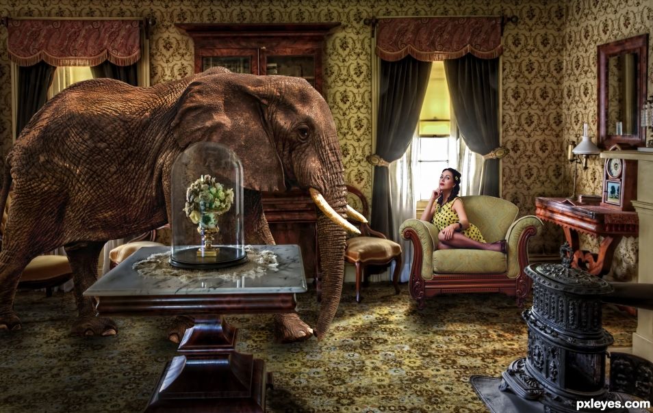 An elephant in the room