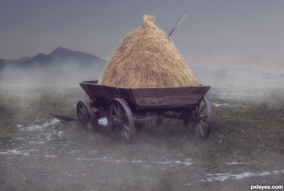 Needle in a haystack