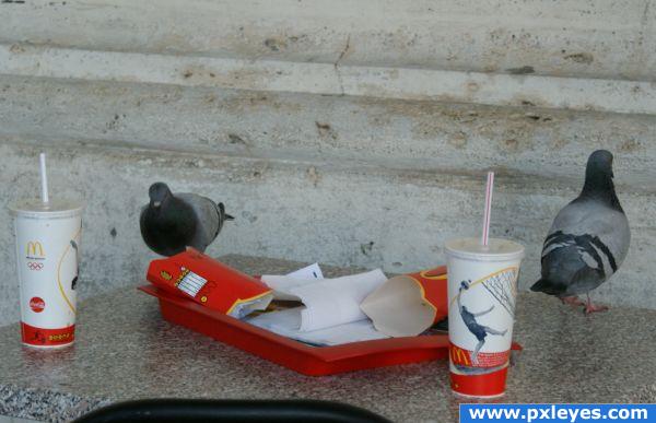 Pigeons picnic