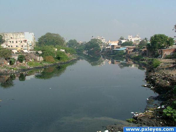 cooum in chennai