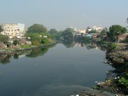 cooum in chennai