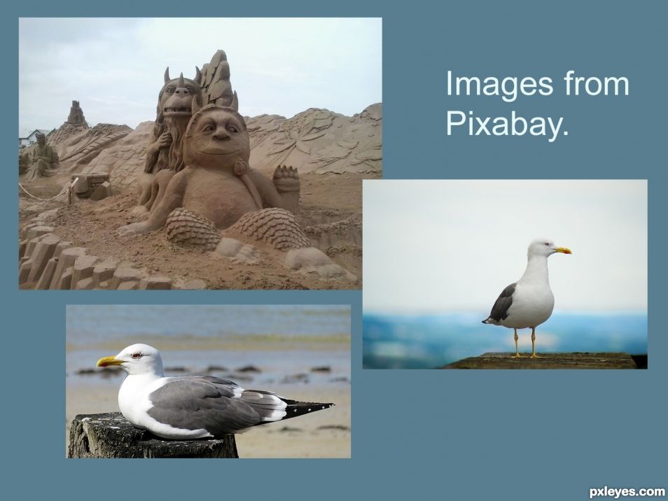 Creation of Sand Sculptures and Seagulls: Step 2