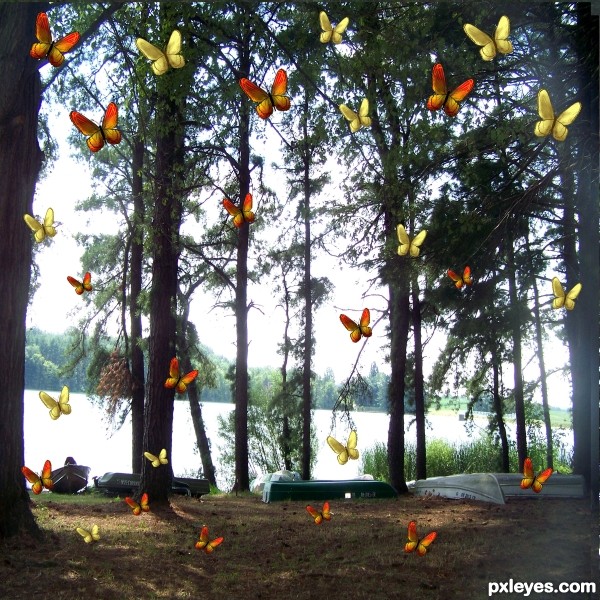 Creation of Butterflly Planet : Step 4