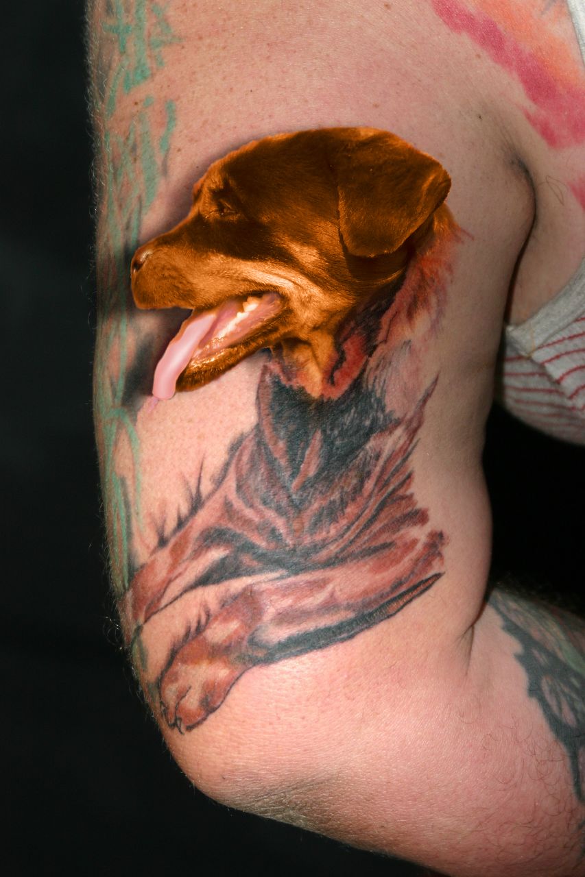 rottweiler picture by filantrop for living tattoos photoshop rottweiler picture by filantrop for living tattoos photoshop