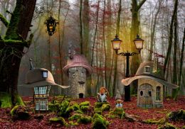 Deep in the woods