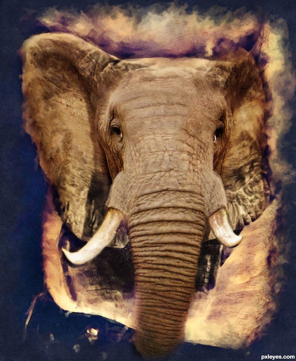 Elephant Tat