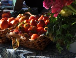 Tomatoes after Sunrise