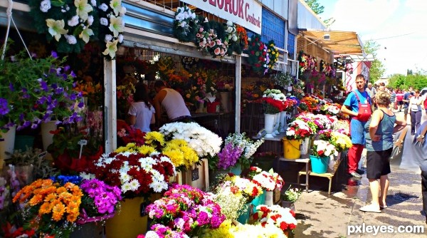 Florist in the cemetery.(mothe