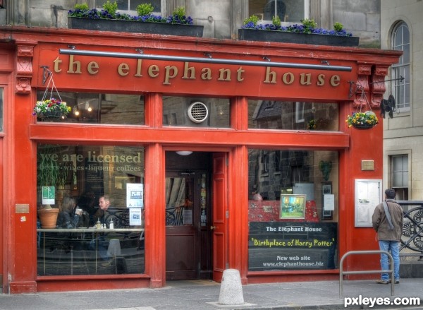 The Elephant House