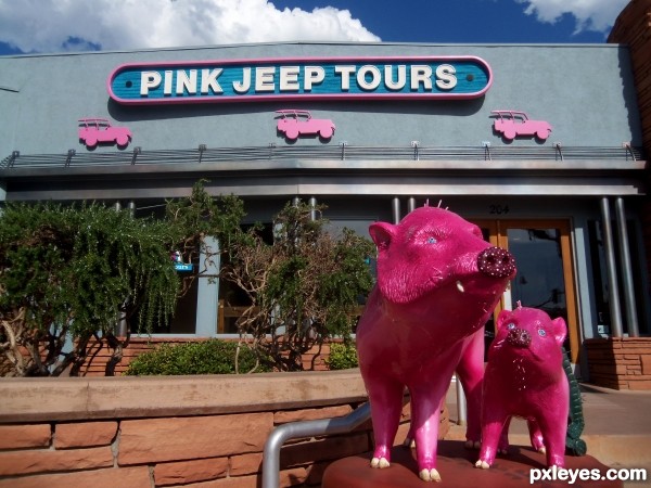 Pink Jeep Tours