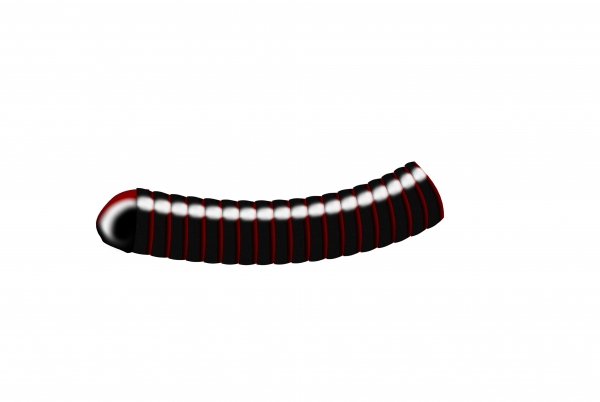 Creation of Mi-Lodd-Pede: Step 4