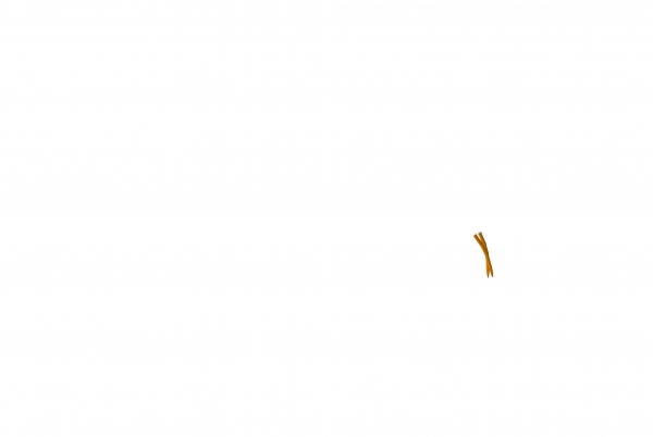 Creation of Mi-Lodd-Pede: Step 5