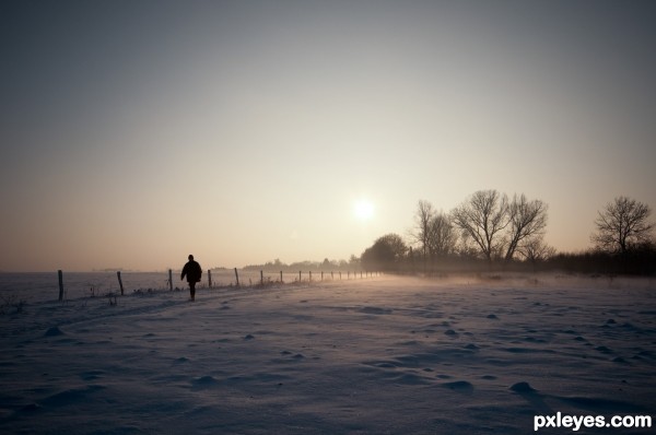 In the Cold