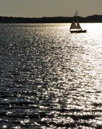 Lonely Boat