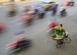 Flowers for Sale