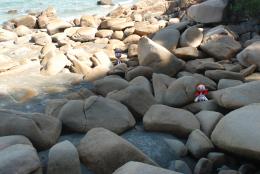 couple lost at beach rock