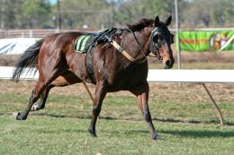 Anyone Seen My Jockey?